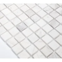 Мозаика из мрамора Vivacer (Вивасер) SPT017
