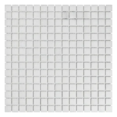 R-MOS B11 белая 20x20 на сетке Stella di Mare