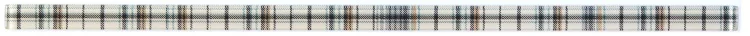 Фриз стеклянный Kotto Ceramica GFР 6025047 print47  25 х 600 х 8