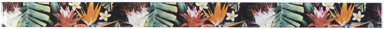 Фриз скляний Kotto Ceramica GFР 9050044 print44 50 х 900 х 8