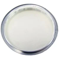 Клей полиэфирный Tenax Solido colorato цветной 1 л густой для ремонта и шпатлевки камня