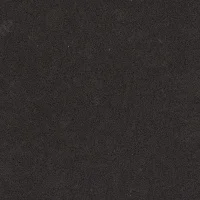 Caesarstone 4120 Raven