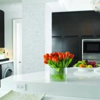 Avant Quartz 1000 Дижон