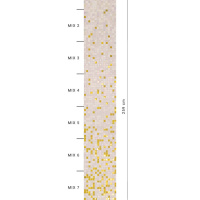 Мозаика на растяжке (сетка) Bisazza Peonia 32.2*258.8 см