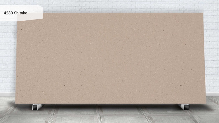 Caesarstone 4230 Shitake