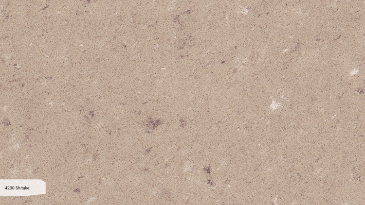 Caesarstone 4230 Shitake